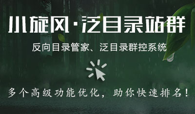 小旋风泛目录站群V9.8发布，泛目录群控/泛端口/泛域名/反向代理+推送
